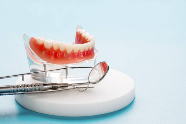 Best Root Canal Treatment  in Fort Loramie, OH